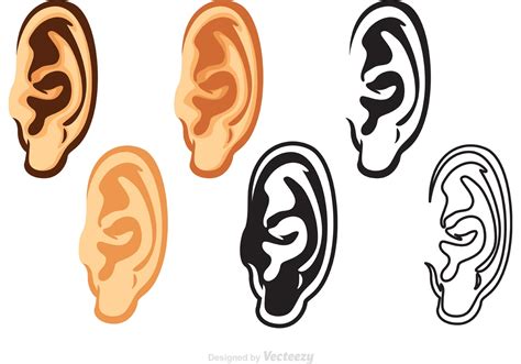 Human Ear Vectors Pack Download Free Vector Art Stock Graphics And Images