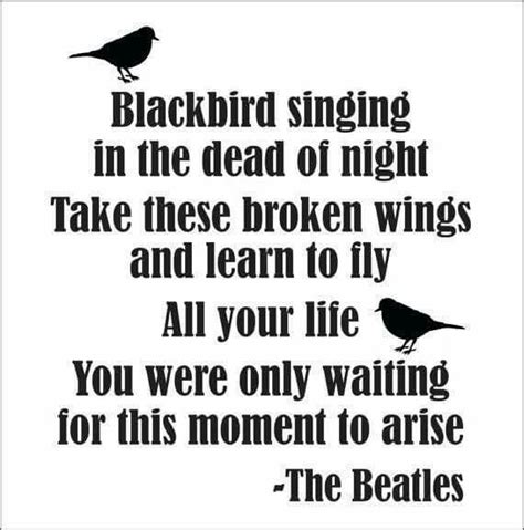Lyricbeatles Beatles Quotes Beatles Song Lyrics Beatles Songs