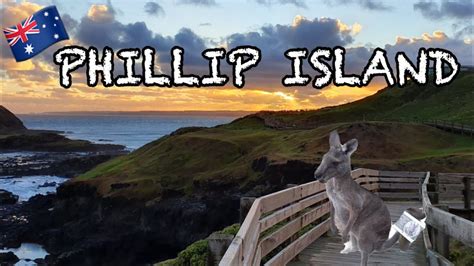 Phillip Island Australia Day Trip Tourism Youtube