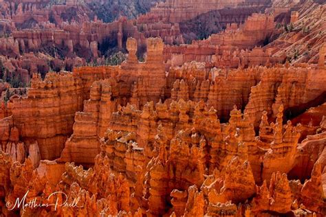 Bryce Canyon National Park 17 Great Spots For Photography