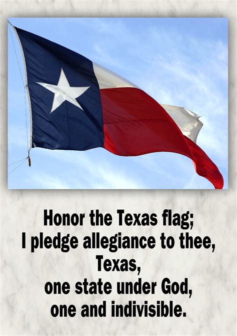 The words were written by francis bellamy. I force foreign nationals to pledge allegiance to my state ...