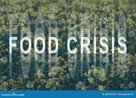 Food Shortage In The World Food Crisis And Crop Failure Military
