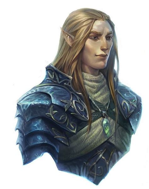 Male Elf Noble Knight With Blue And Gold Armour Elaborate Clothing