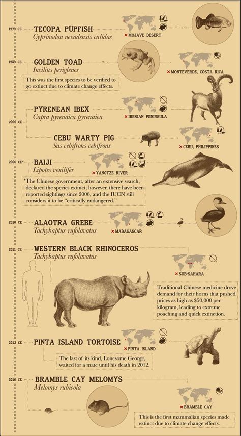 Extinct Animals List Examples And Forms