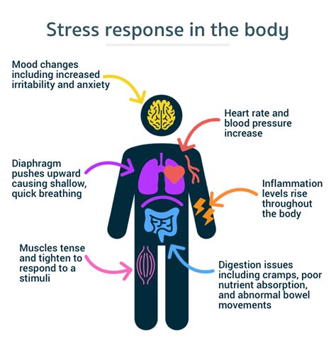 The Best Breathing Techniques To Help You Get Out Of Stress Orbit Telehealth Inc