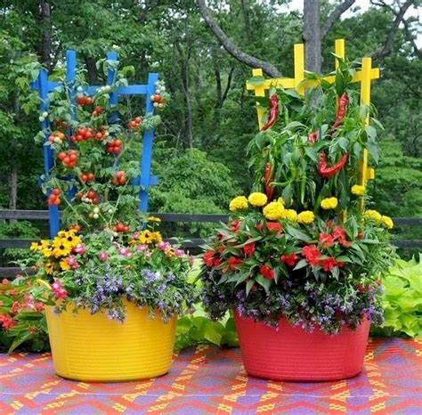 Potted Vegetable Garden Ideas