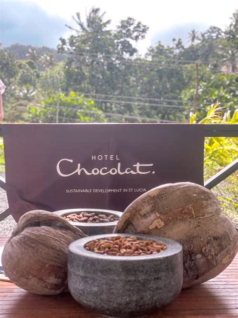 A Complete St Lucia Chocolate Tour Find Out If It S Worth It Adventures Passport