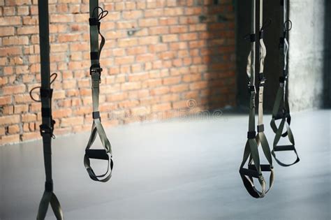 Elastic Ropes Hanging For Doing Push Ups Stock Photo Image Of Muscular Health