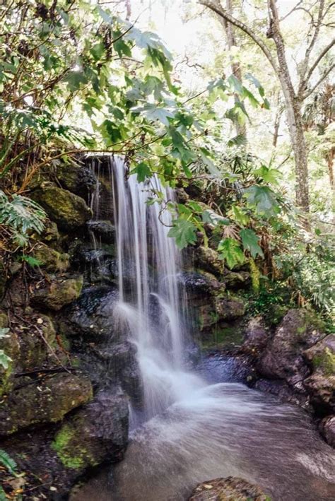 Rainbow Springs State Park Tips And Photos To Inspire Your Visit