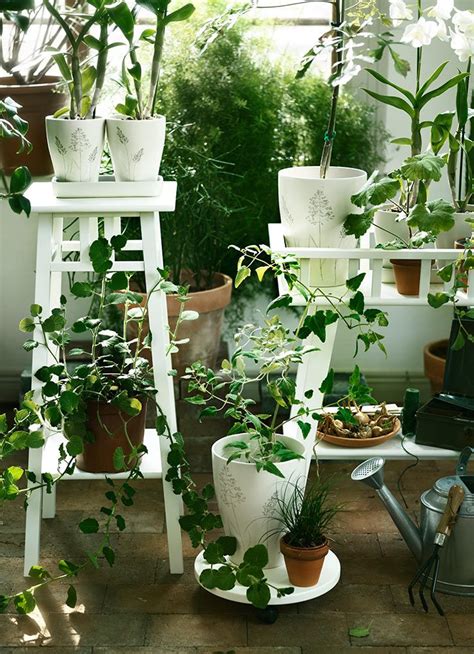 Decoración de salones con plantas. decoracion con plantas colgantes - Buscar con Google | Plantas de interior, Decoracion plantas ...