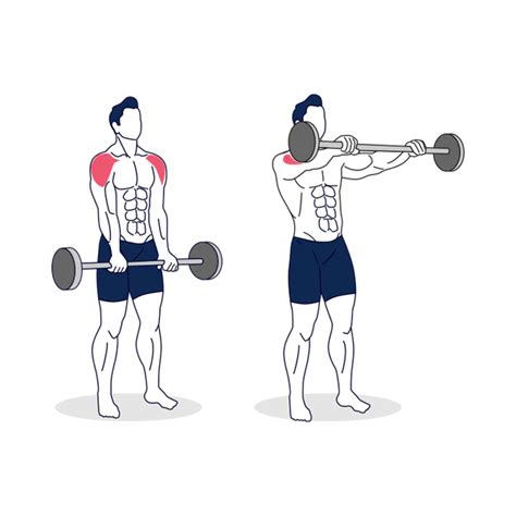 12 Best Shoulder Workouts And Exercises For Men Boss Hunting