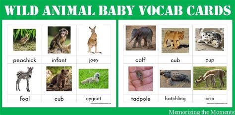 Memorizing The Moments Wild Animal Baby Names Printables