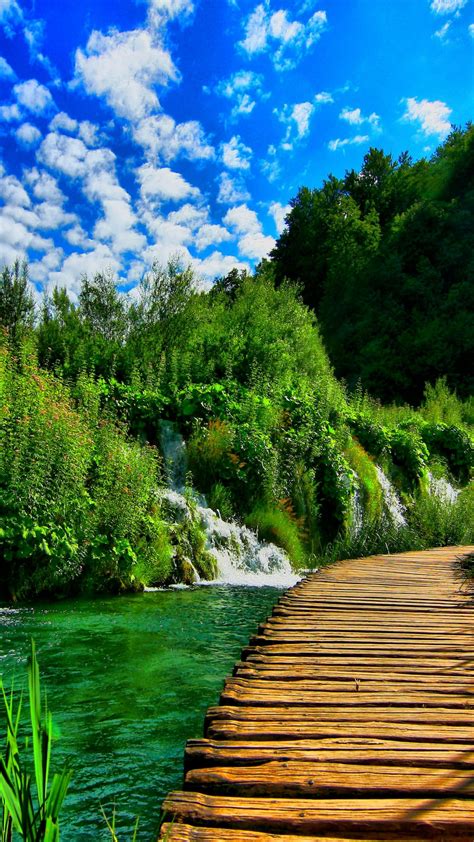 Free Download Green Nature Desktop Background 3836x2877 For Your