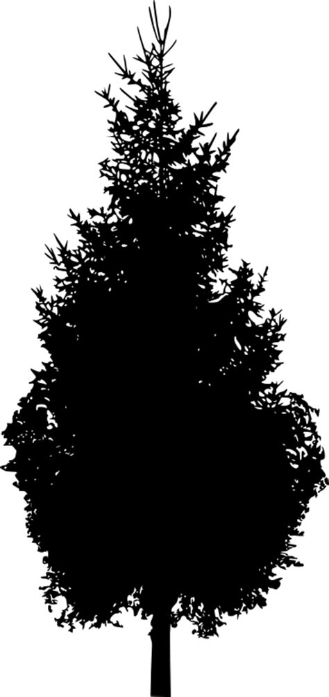 Tree silhouette tree sketch png and vector with transparent. 30 Pine Tree Silhouette (PNG Transparent) Vol. 2 | OnlyGFX.com