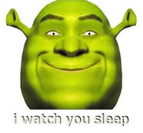 Pin By Aluin On Chat Shrek Memes Shrek Memes