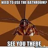 Images of Cockroach Meme
