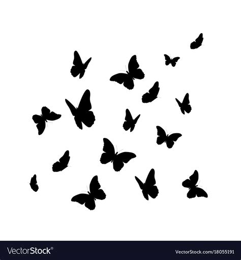 Beautiful Butterfly Silhouette Isolated On White Vector Image On