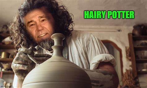 Hairy Potter Imgflip