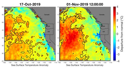 Scientists Breathe Easier As Marine Heat Wave Off West Coast Weakens
