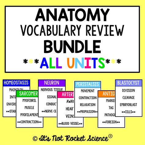 Anatomy Vocabulary Review Game Shop Its Not Rocket Science
