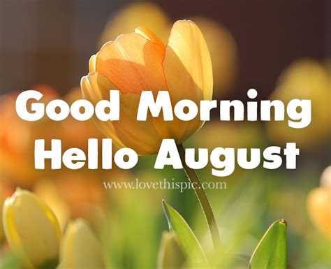 Tulip Good Morning August Quote Pictures Photos And Images For
