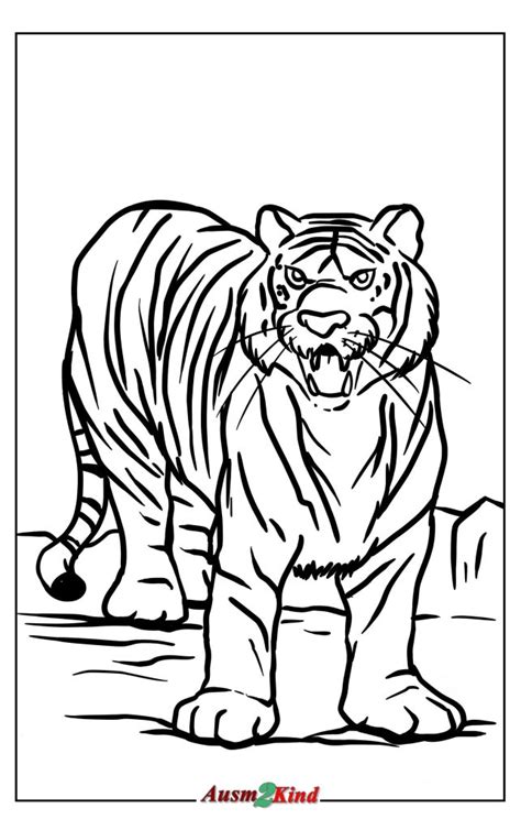 Ausmalbilder Tiger 28 Stück Malvorlagen Süßer Tiere Drucken