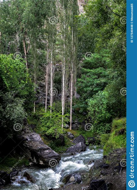 Beautiful Water Stream In Green Forest Between Big Black Rocks In