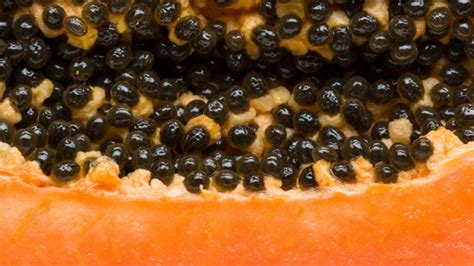 Cómo Conservar La Papaya Fresca Por Más Tiempo Salud180