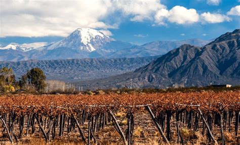 Get To Know One Of The Best Chilean Wine Regions Aconcagua Valley