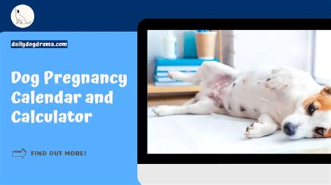 Dog Pregnancy Calendar And Calculator Dog Care Tips And Information