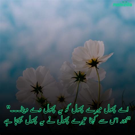 Flower Poetry In Urdu Phool Shayari Rose Poetry With Images