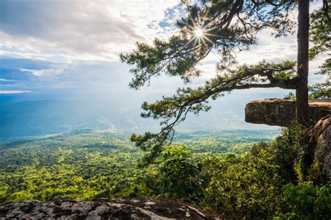 Phu Kradueng National Park