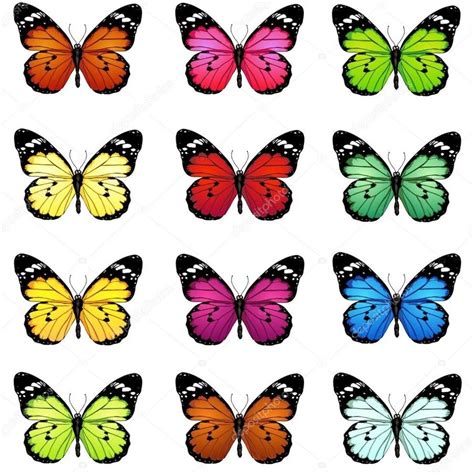 Pin By Anjellskx On Paper Scrapbook Beautiful Butterflies Art