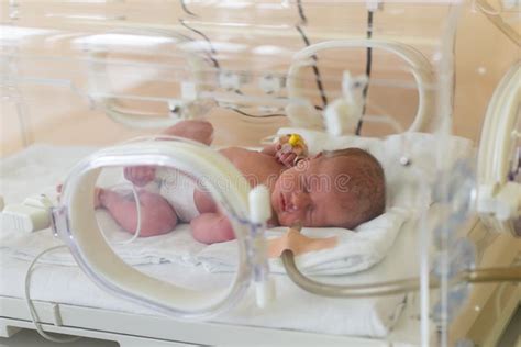Premature Newborn Baby In The Hospital Incubator Neonatal Intensive