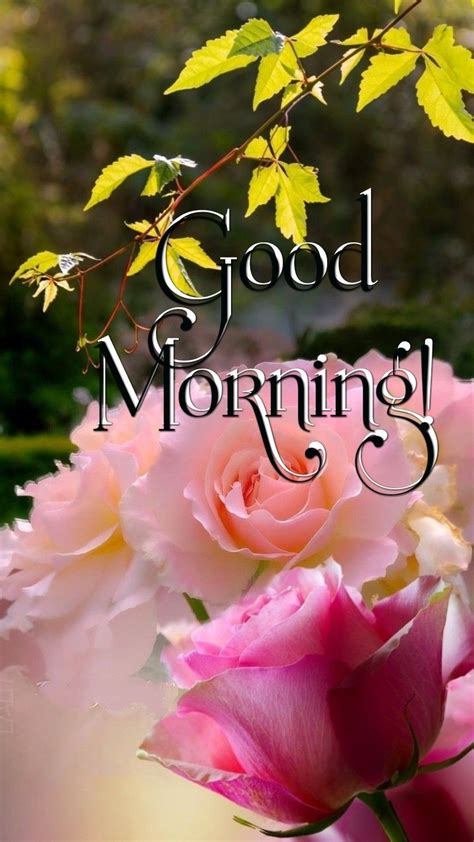 Pin By Lara On Morning Wishes Good Morning Flowers Good Morning
