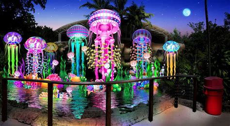 Chinese Lantern Festival Comes To Jungle Island Wsvn 7news Miami