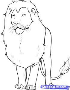 Free lesson online from idrawgirls.com. How To Draw A Lion by Dawn | Lion sketch, Lion drawing, Animal drawings