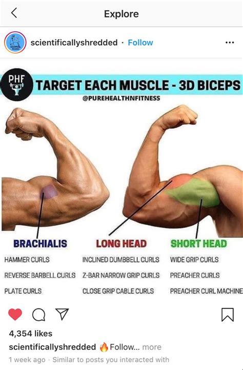 3d Biceps Biceps Biceps Workout Daily Workout