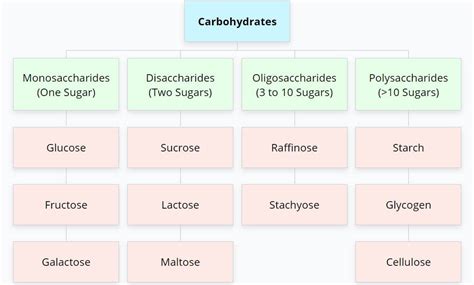 Carbohydrates Definition Structure Types Examples
