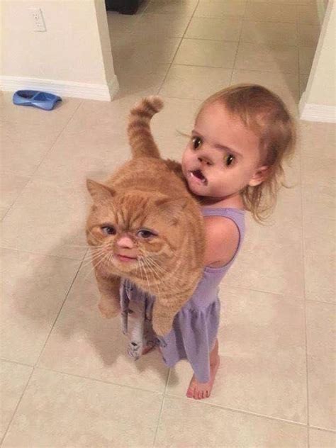 These 24 Terrifying Face Swaps Will Haunt Your Dreams Funny Animal