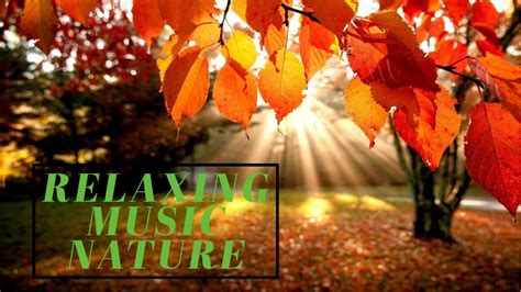 Relaxing Music And Nature Youtube