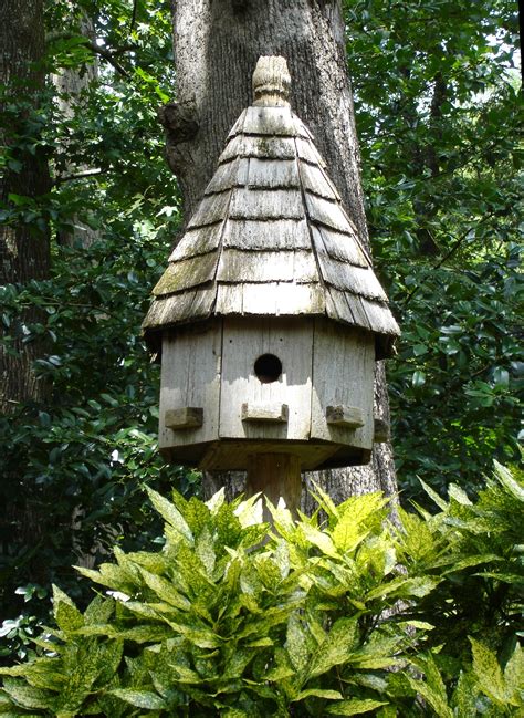 1080x1920 Wallpaper Brown Wooden Birdhouse Beside Tree Peakpx