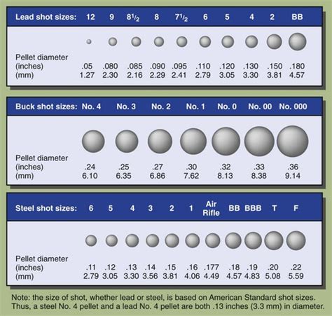 The exact number of pellets depends on their size and composition as well as the weight of pellets loaded into the shell. Hunting and Fishing Injuries | Anesthesia Key