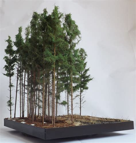 Pine Woods Diorama Base For Model Trees
