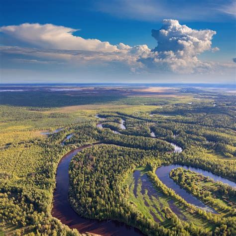 Forest Plain With River Stock Image Image Of Area Summer 112185525
