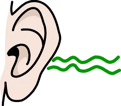 Clipart Of An Ear Listening Wikiclipart