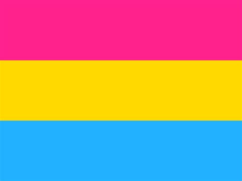 The romantic counterpart is panromantic. Pansexual flag for LGBT - Rosy Rainbow