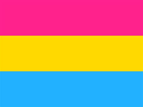 Pansexual flag for LGBT - Rosy Rainbow