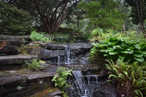 12 Best Botanical Gardens In Georgia You Must See Southern Trippers