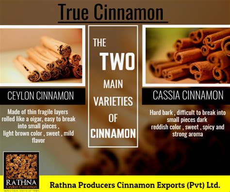 There Are Hundreds Of Types Of Cinnamon But Only 2 Types Or Varieties